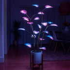 LED Plant Grow Light – Full Spectrum & Adjustable Brightness